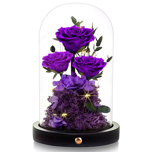 Agrul Mothers Day Flowers Rose Gifts for Mom Preserved Rose in Glass Dome Forever Real Roses Birthday Gifts for Wife Women Mom Best Friend Girlfriend Grandma,Purple Roses Gifts for Wife