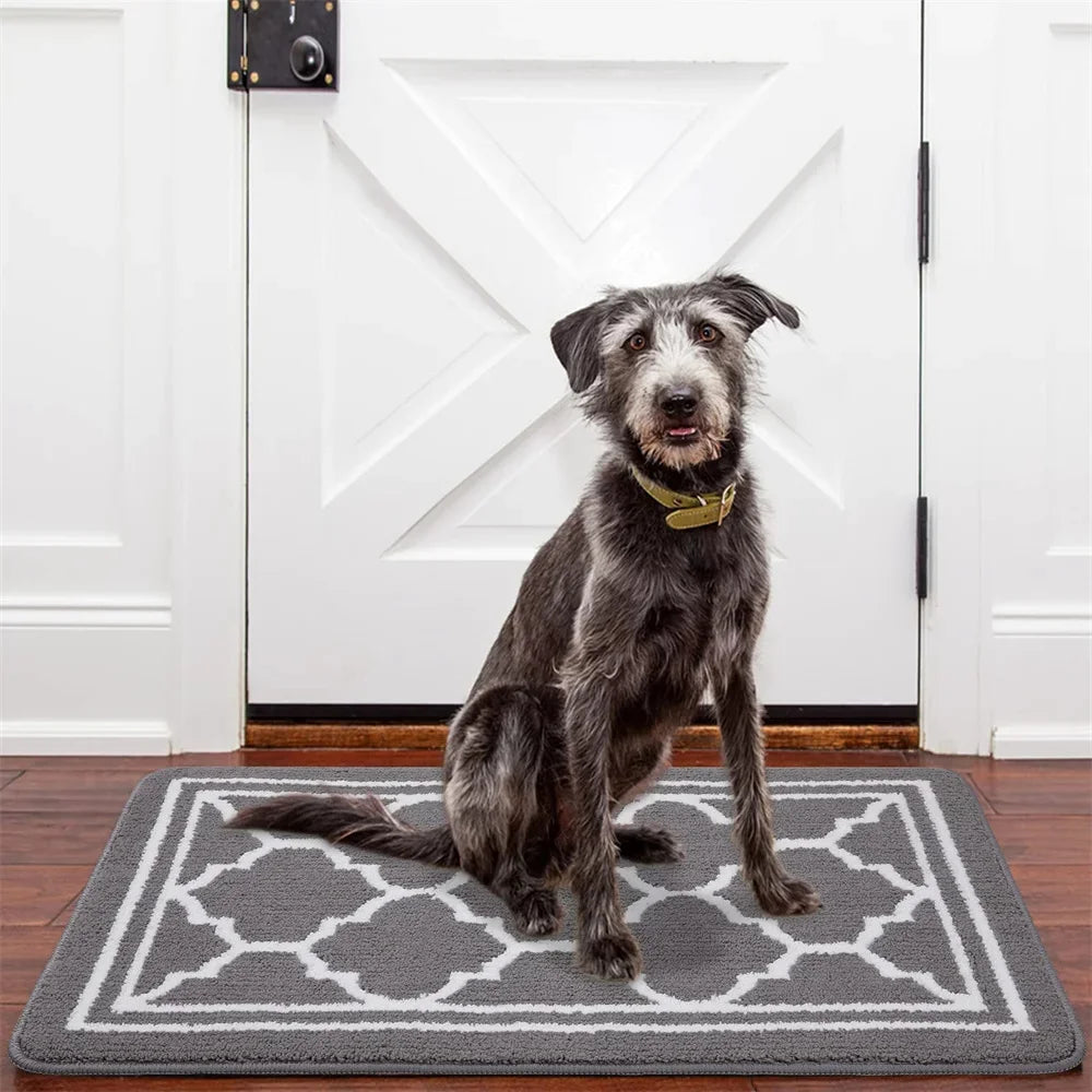 Olanly Door Mat Indoor Non-Slip Entrance Doormat Low Profile Mat Foot Mat Supe Absorbent Welcome Bathroom Rug Front Door Carpet