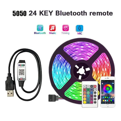 RGB LED Strip Light 5050 Bluetooth APP IR Remote Control USB 1M 2M 3M 4M 5M 10M 15M 20M 25M 30M Festival Deco Backlight For Home