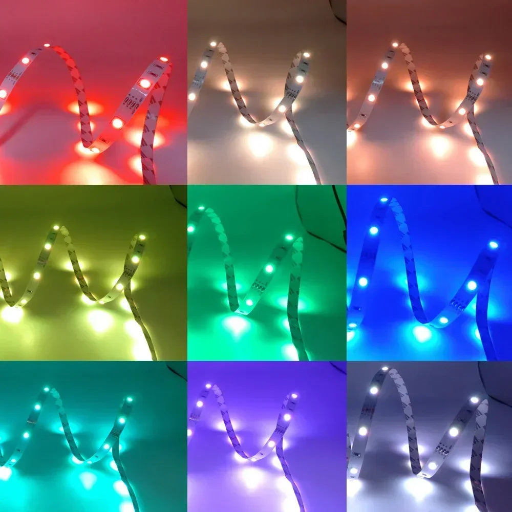 RGB LED Strip Light 5050 Bluetooth APP IR Remote Control USB 1M 2M 3M 4M 5M 10M 15M 20M 25M 30M Festival Deco Backlight For Home